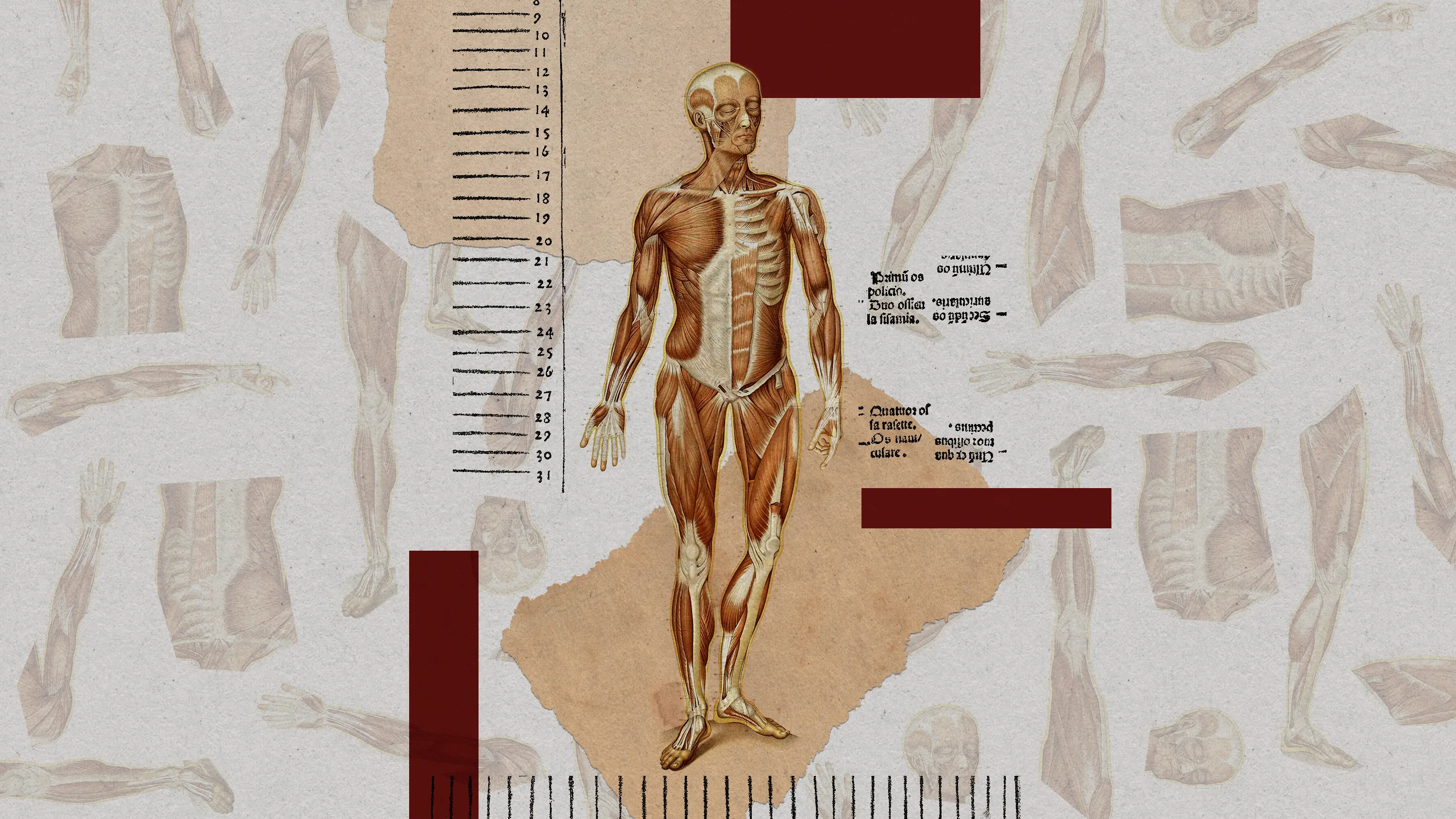 ¡Increíble! Cuerpos humanos artificiales podrían revolucionar la medicina como nunca antes.