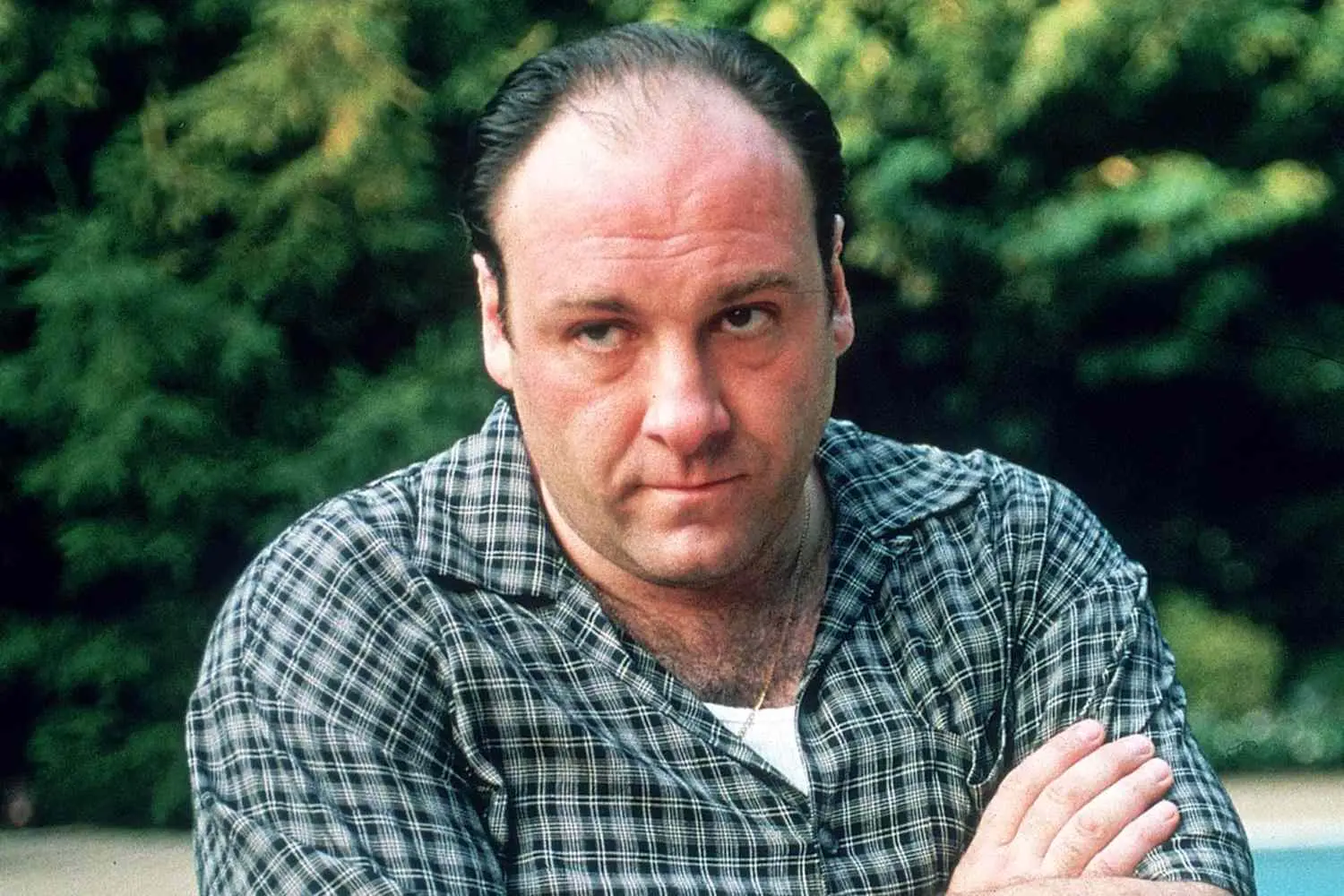 ¿Cómo James Gandolfini casi pierde el papel de Tony Soprano? ¡Descubre la historia detrás!