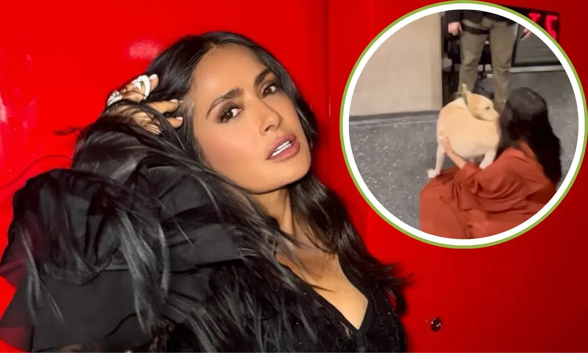 Salma Hayek impacta al mundo con su inesperada conexión con un adorable perrito
