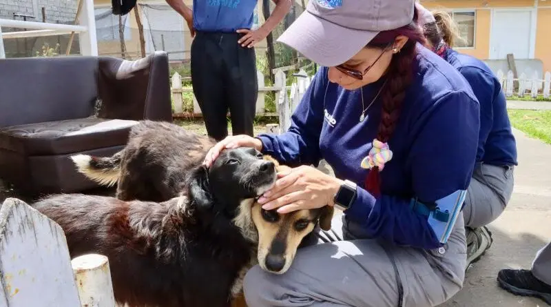 Iniciativa municipal apoya a animales durante crisis sanitaria- Últimas noticias Ecuador