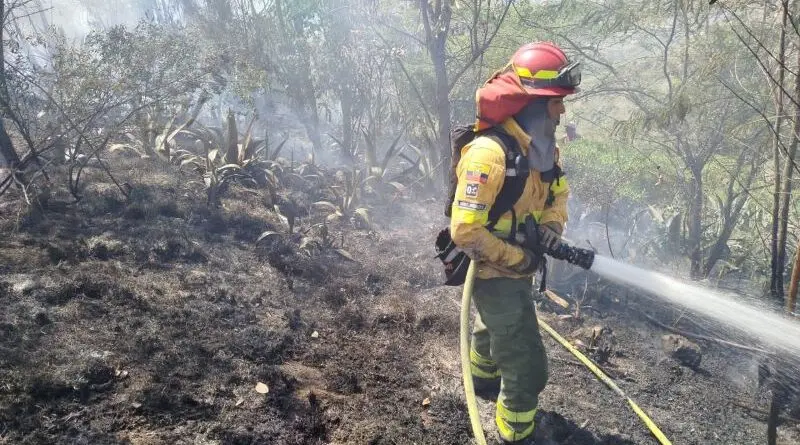 Multa y prisión por provocar incendios en la ciudad- Últimas noticias Ecuador