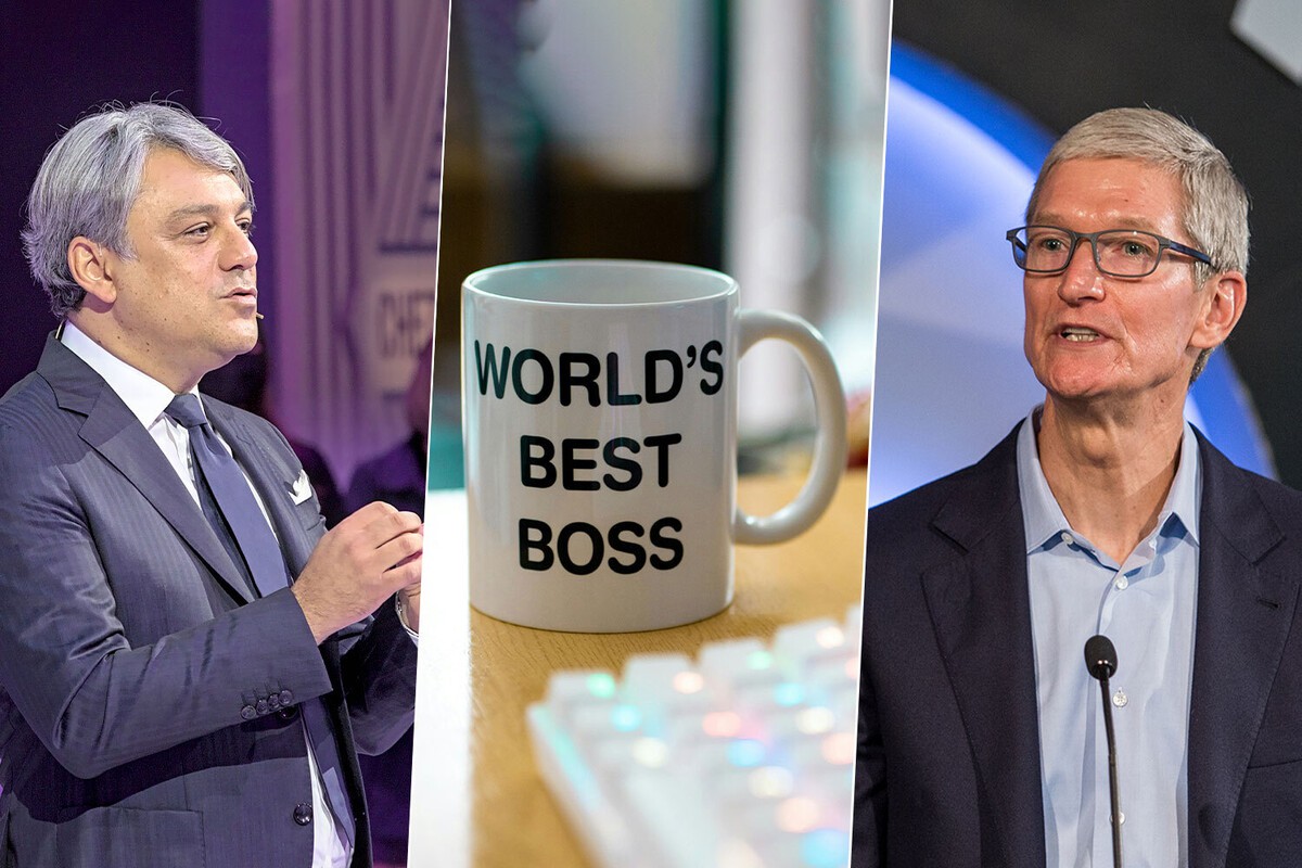 La sorprendente transformación de los CEOs: ¿Por qué ya no saltan de empresa en empresa?- Últimas noticias Ecuador