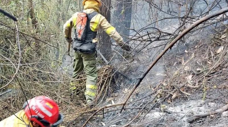 Incendio forestal en el cerro Sincholagua es controlado- Últimas noticias Ecuador