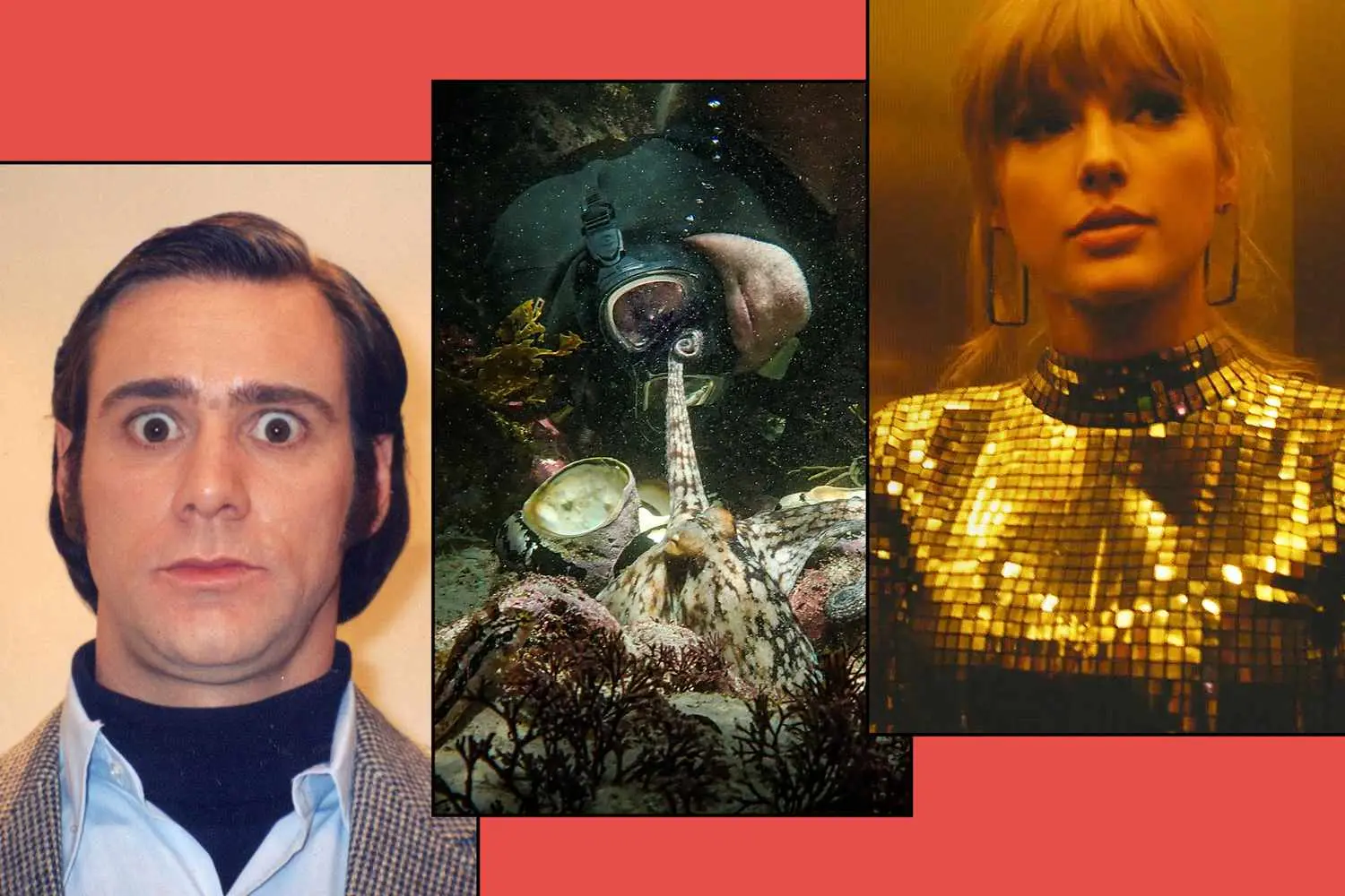 Descubre los 30 documentales más impactantes que Netflix tiene para ti ahora mismo