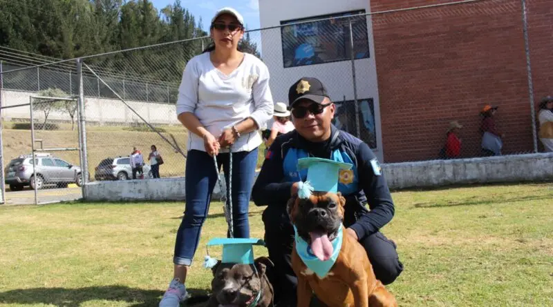 Curso municipal de adiestramiento canino inicia en julio- Últimas noticias Ecuador