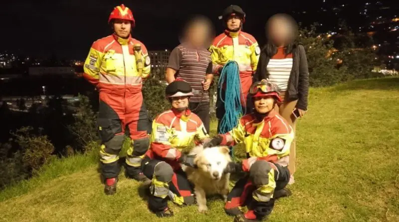 Rescate de perros en quebradas de Quito