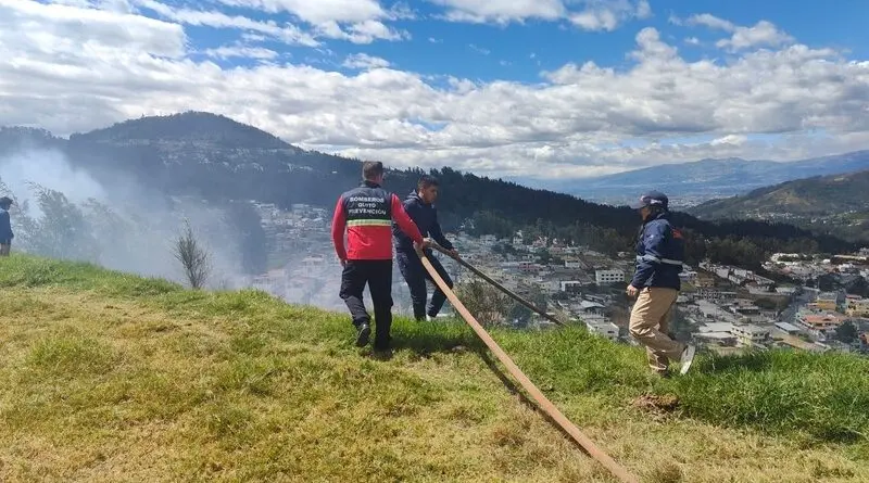 Sanción por incendio forestal en Tumbaco- Últimas noticias Ecuador