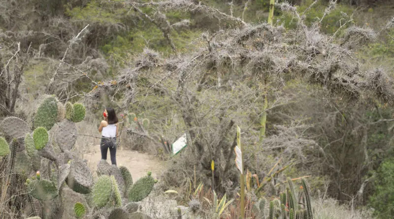 Jalunguilla es declarado Santuario de Vida Silvestre- Últimas noticias Ecuador