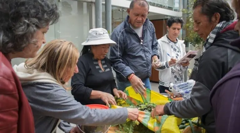 Talleres sobre plantas medicinales en el Museo de la Ciudad