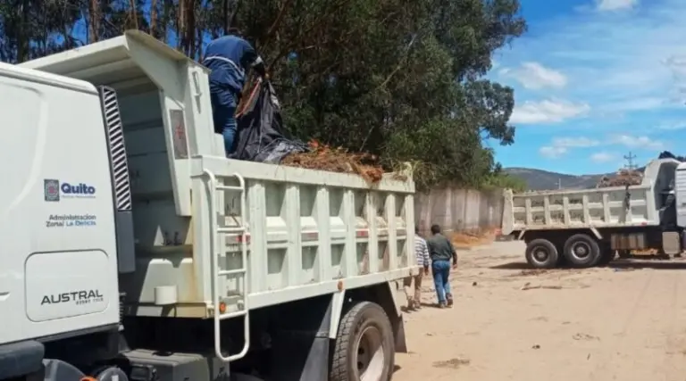 Limpieza revitaliza la calle Mastodontes en Quito